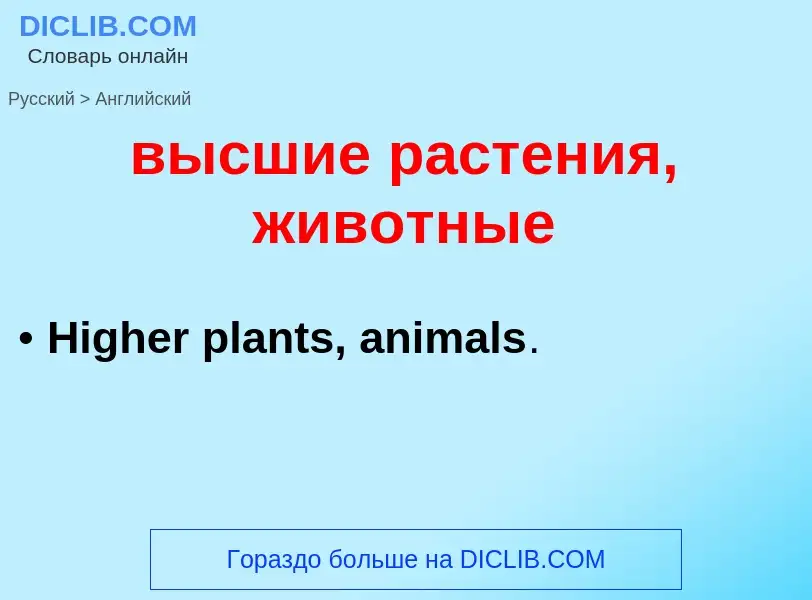 Как переводится высшие растения, животные на Английский язык