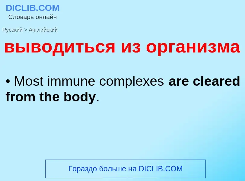 Как переводится выводиться из организма на Английский язык