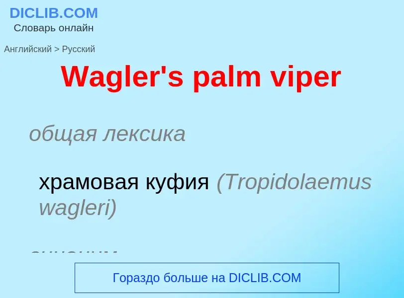 Übersetzung von &#39Wagler's palm viper&#39 in Russisch