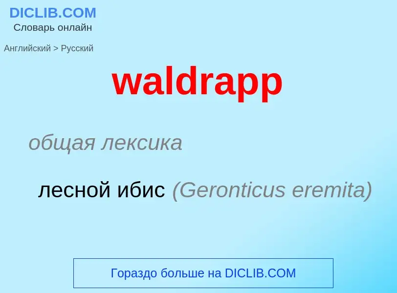 Μετάφραση του &#39waldrapp&#39 σε Ρωσικά