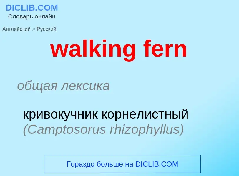 Μετάφραση του &#39walking fern&#39 σε Ρωσικά