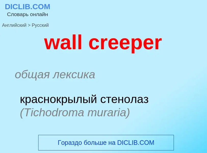 Μετάφραση του &#39wall creeper&#39 σε Ρωσικά