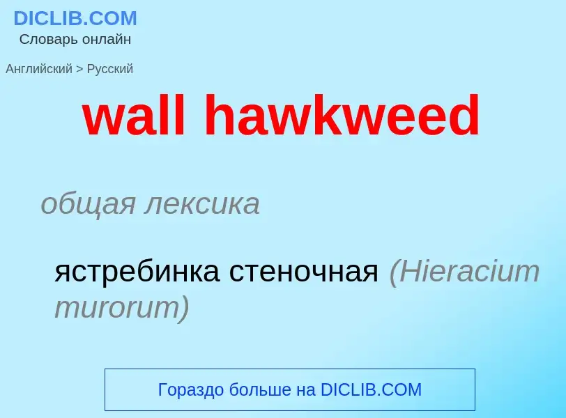 Μετάφραση του &#39wall hawkweed&#39 σε Ρωσικά