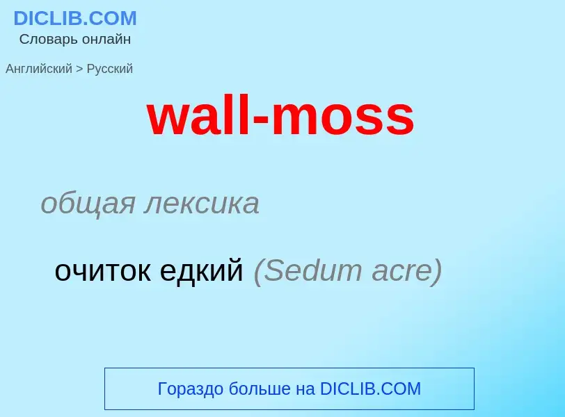 Μετάφραση του &#39wall-moss&#39 σε Ρωσικά