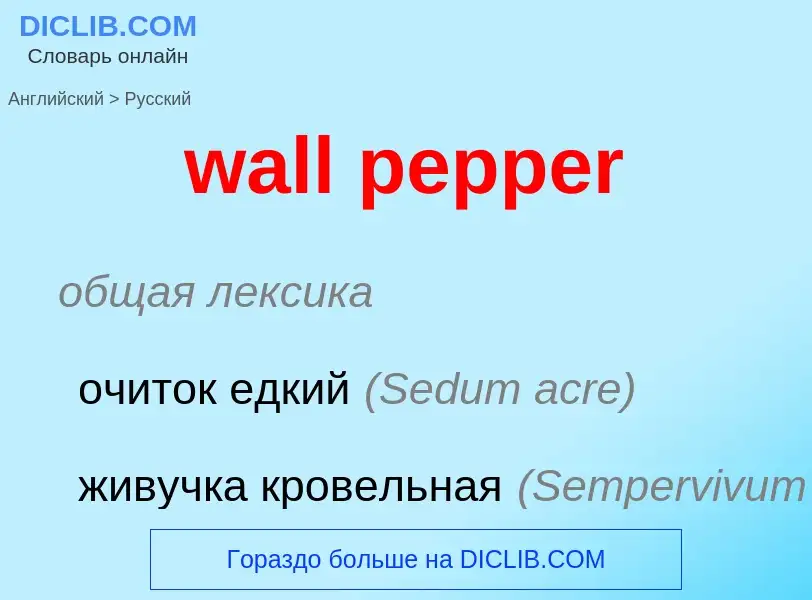 Μετάφραση του &#39wall pepper&#39 σε Ρωσικά