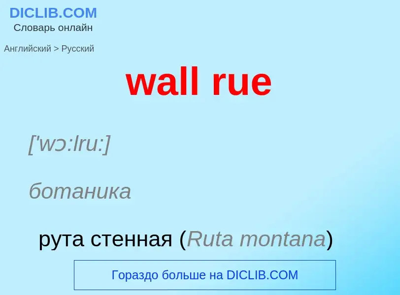 Μετάφραση του &#39wall rue&#39 σε Ρωσικά