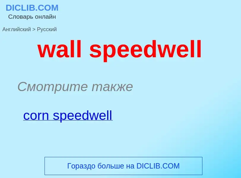 Μετάφραση του &#39wall speedwell&#39 σε Ρωσικά