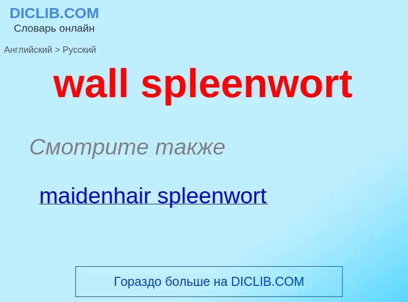 Μετάφραση του &#39wall spleenwort&#39 σε Ρωσικά