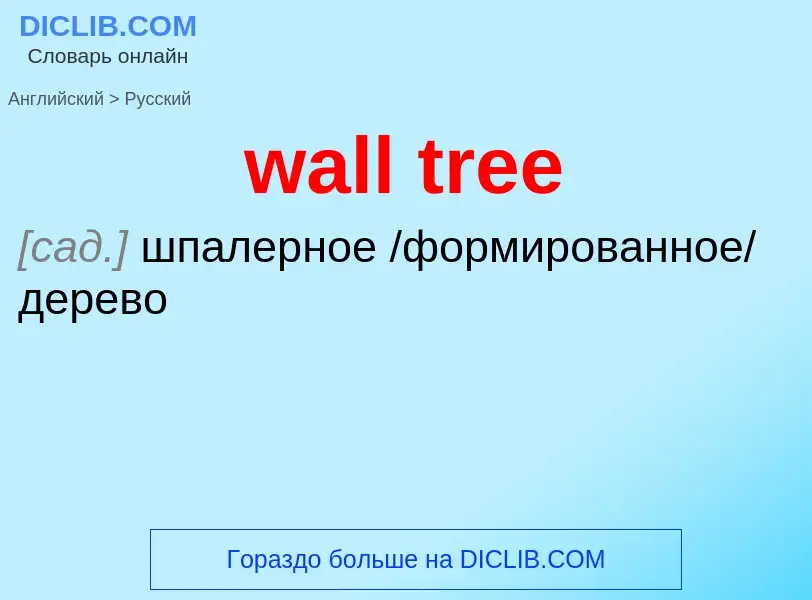 Μετάφραση του &#39wall tree&#39 σε Ρωσικά