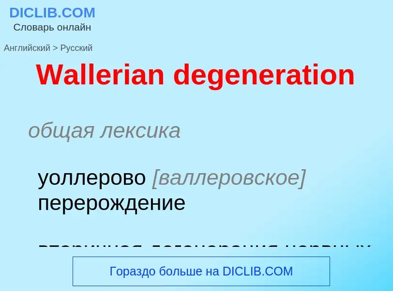 ¿Cómo se dice Wallerian degeneration en Ruso? Traducción de &#39Wallerian degeneration&#39 al Ruso