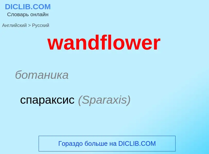 Μετάφραση του &#39wandflower&#39 σε Ρωσικά