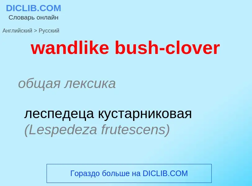 Μετάφραση του &#39wandlike bush-clover&#39 σε Ρωσικά