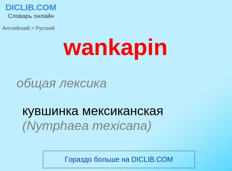 Μετάφραση του &#39wankapin&#39 σε Ρωσικά