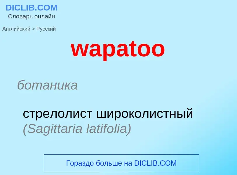 Μετάφραση του &#39wapatoo&#39 σε Ρωσικά