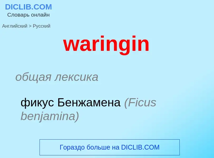 Μετάφραση του &#39waringin&#39 σε Ρωσικά