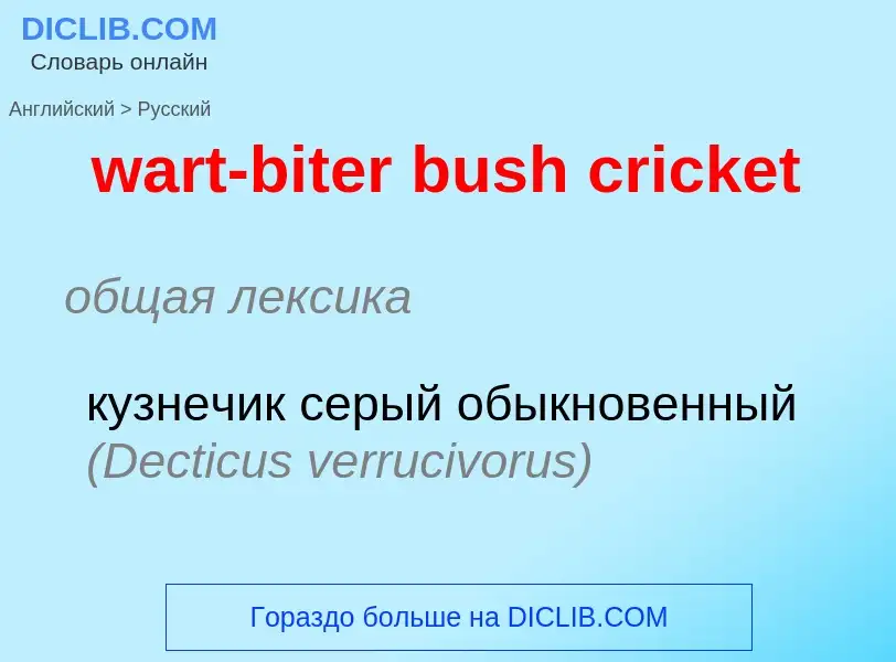 Μετάφραση του &#39wart-biter bush cricket&#39 σε Ρωσικά