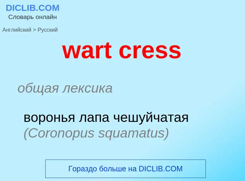 Μετάφραση του &#39wart cress&#39 σε Ρωσικά