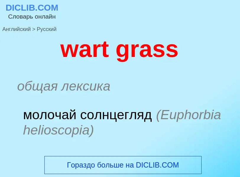 Μετάφραση του &#39wart grass&#39 σε Ρωσικά