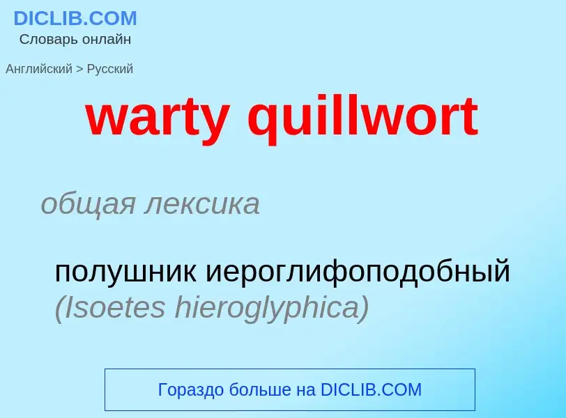 Como se diz warty quillwort em Russo? Tradução de &#39warty quillwort&#39 em Russo