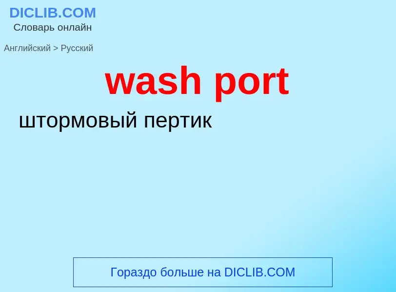 Как переводится wash port на Русский язык