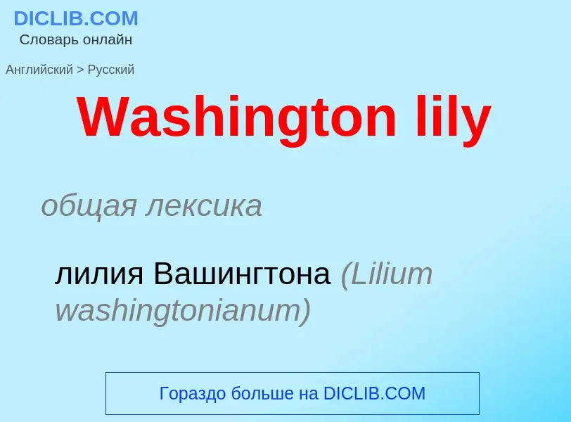 Μετάφραση του &#39Washington lily&#39 σε Ρωσικά