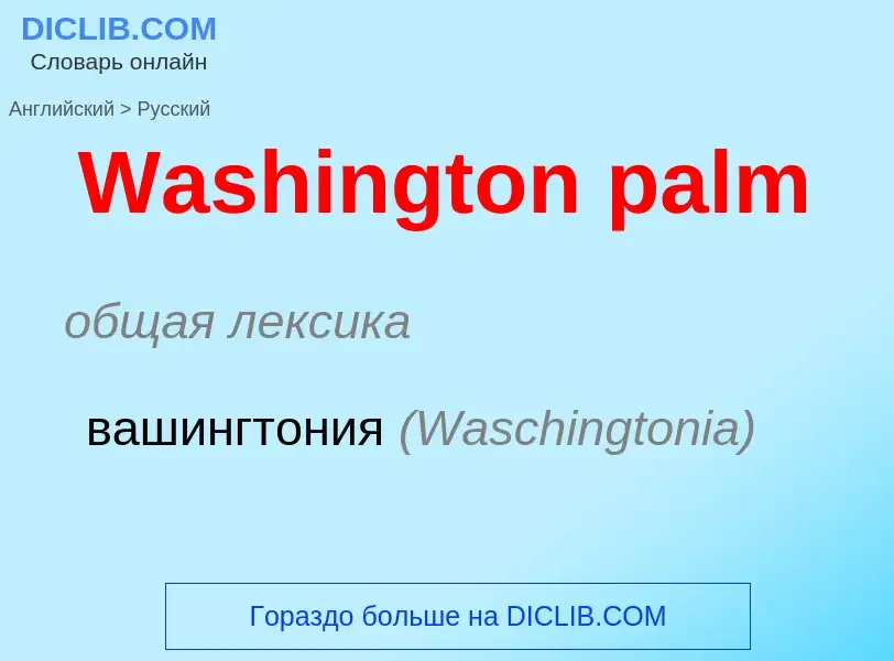 Μετάφραση του &#39Washington palm&#39 σε Ρωσικά