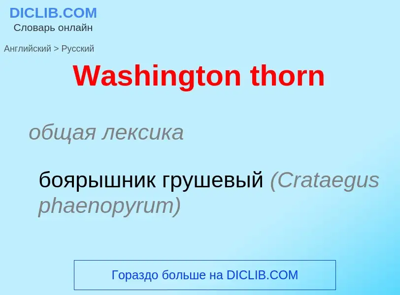 Μετάφραση του &#39Washington thorn&#39 σε Ρωσικά