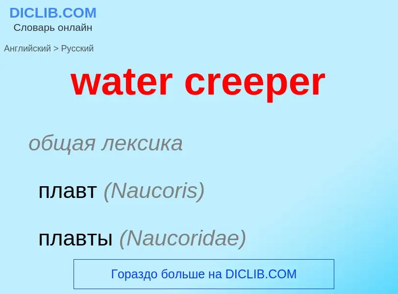 Traduction de &#39water creeper&#39 en Russe