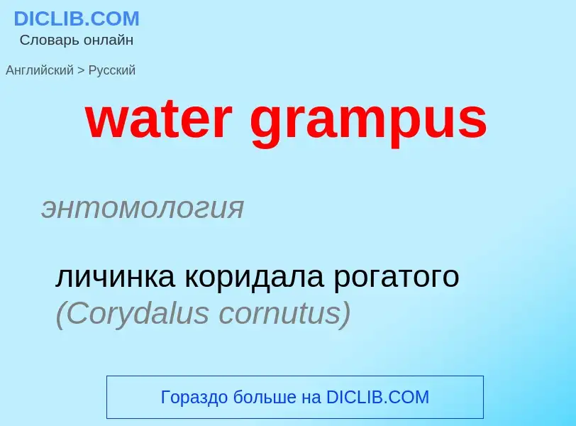 Como se diz water grampus em Russo? Tradução de &#39water grampus&#39 em Russo