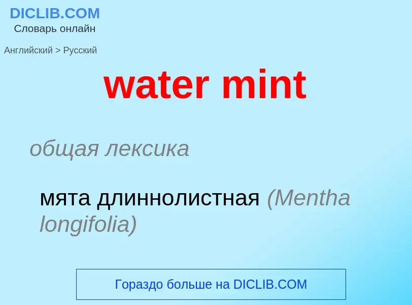 Как переводится water mint на Русский язык