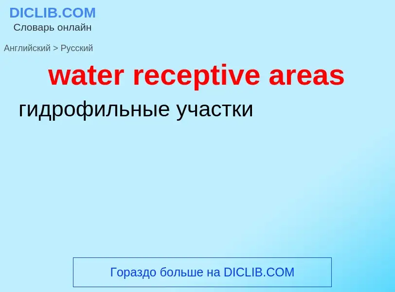 Как переводится water receptive areas на Русский язык