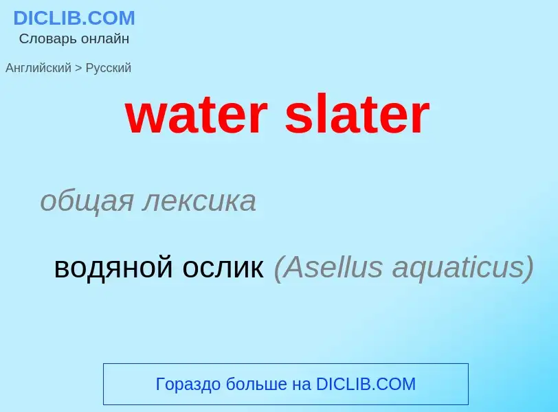 ¿Cómo se dice water slater en Ruso? Traducción de &#39water slater&#39 al Ruso