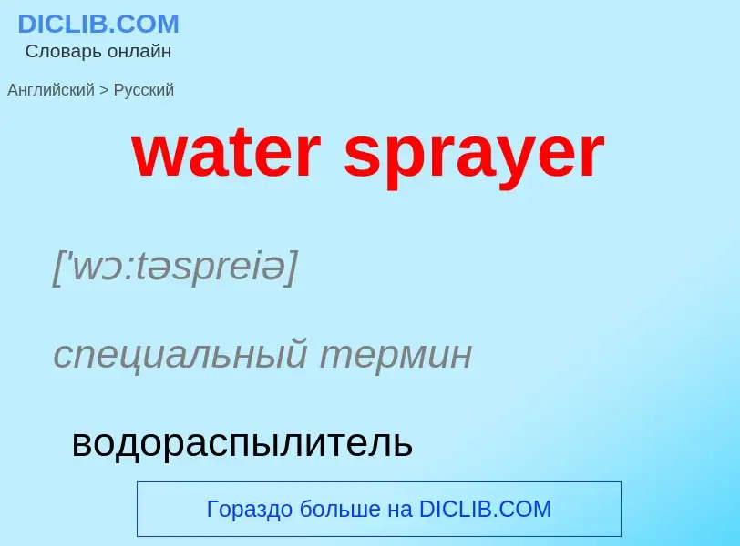 Как переводится water sprayer на Русский язык