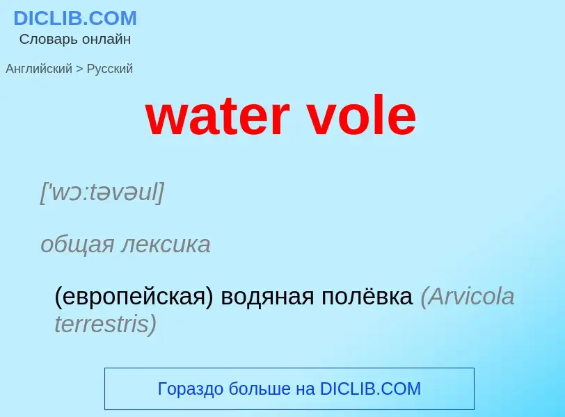 ¿Cómo se dice water vole en Ruso? Traducción de &#39water vole&#39 al Ruso