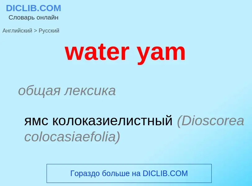 Vertaling van &#39water yam&#39 naar Russisch