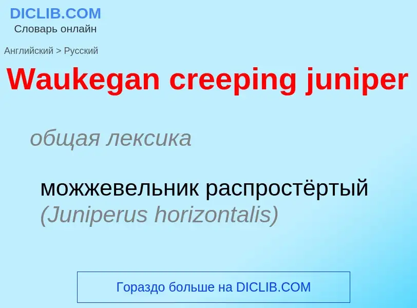 Как переводится Waukegan creeping juniper на Русский язык