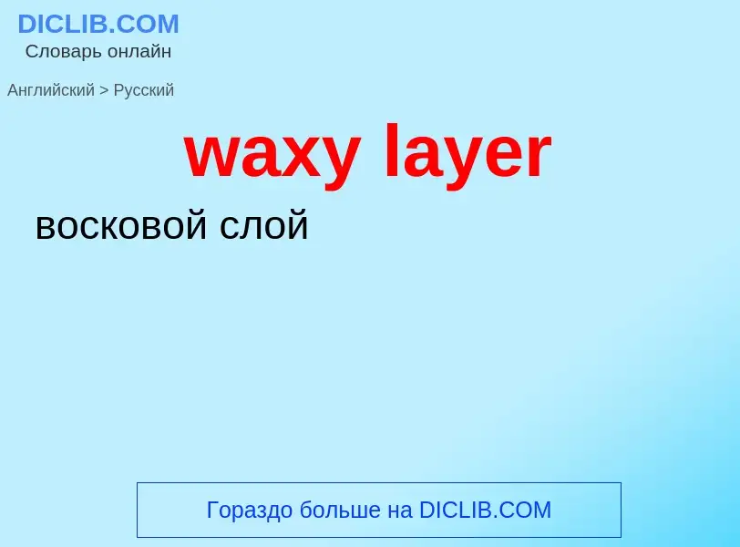 Как переводится waxy layer на Русский язык