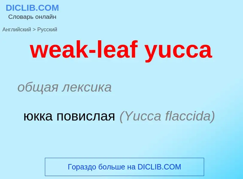 Como se diz weak-leaf yucca em Russo? Tradução de &#39weak-leaf yucca&#39 em Russo