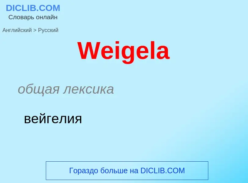 Como se diz Weigela em Russo? Tradução de &#39Weigela&#39 em Russo