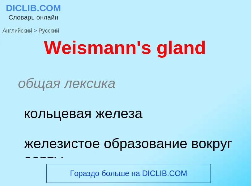 ¿Cómo se dice Weismann's gland en Ruso? Traducción de &#39Weismann's gland&#39 al Ruso