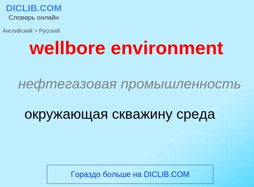 Как переводится wellbore environment на Русский язык