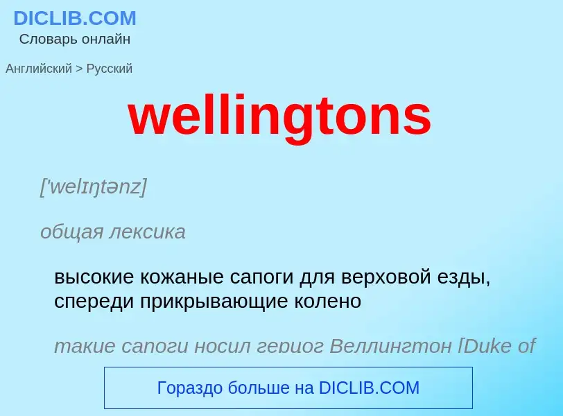 Μετάφραση του &#39wellingtons&#39 σε Ρωσικά