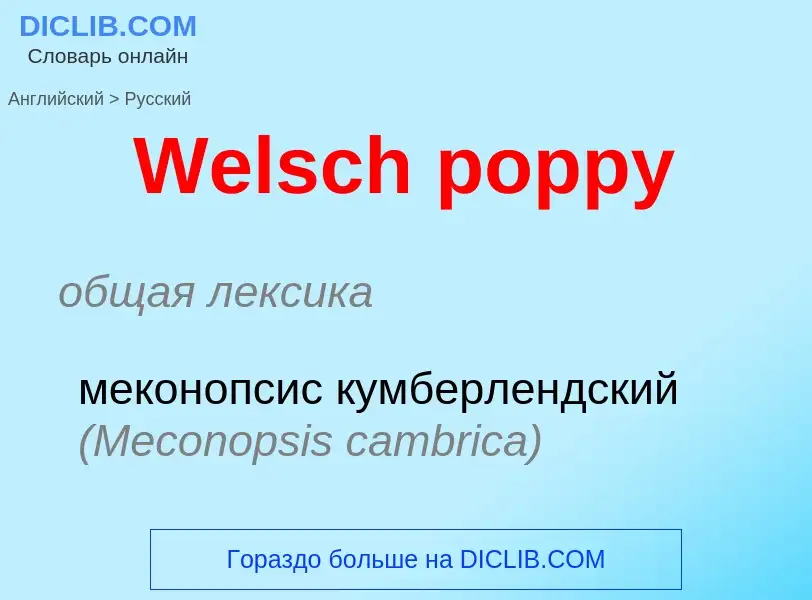 Como se diz Welsch poppy em Russo? Tradução de &#39Welsch poppy&#39 em Russo