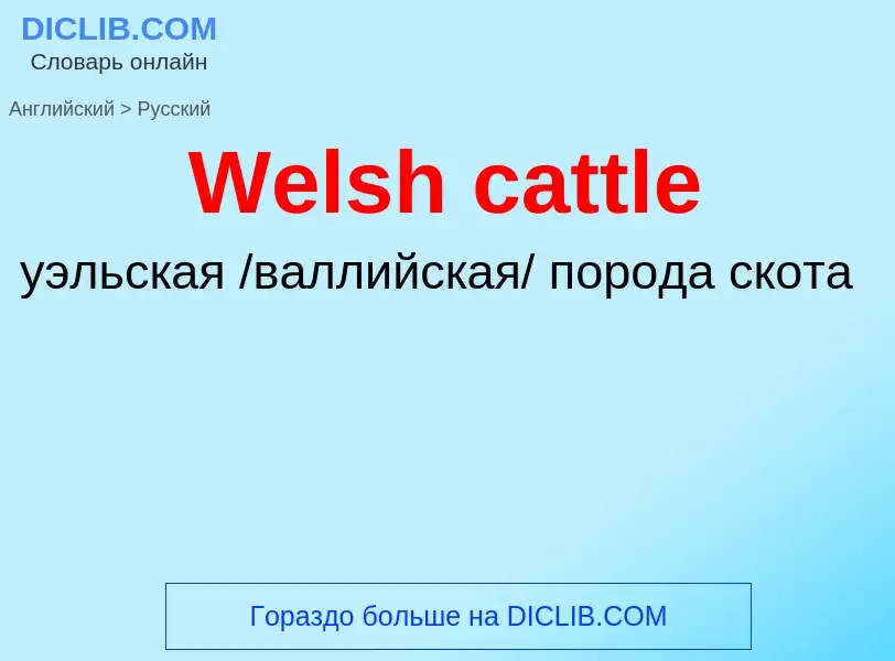 Μετάφραση του &#39Welsh cattle&#39 σε Ρωσικά