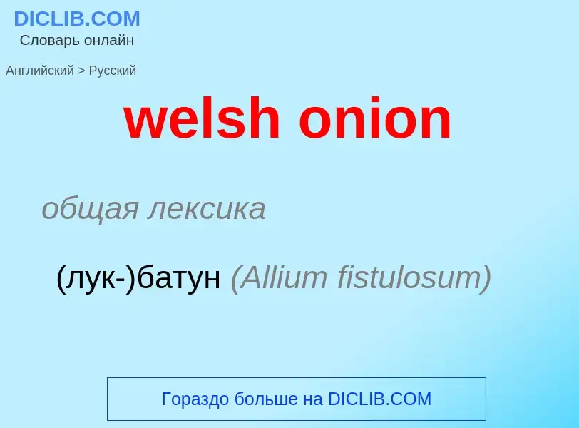 Como se diz welsh onion em Russo? Tradução de &#39welsh onion&#39 em Russo