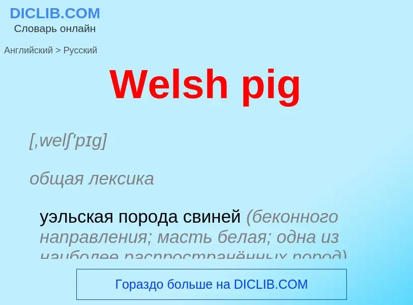 Como se diz Welsh pig em Russo? Tradução de &#39Welsh pig&#39 em Russo