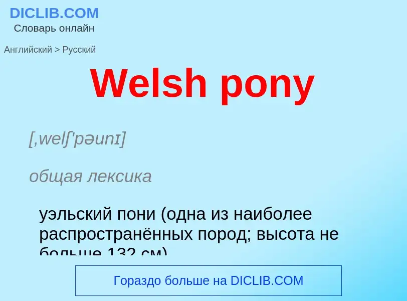 Μετάφραση του &#39Welsh pony&#39 σε Ρωσικά