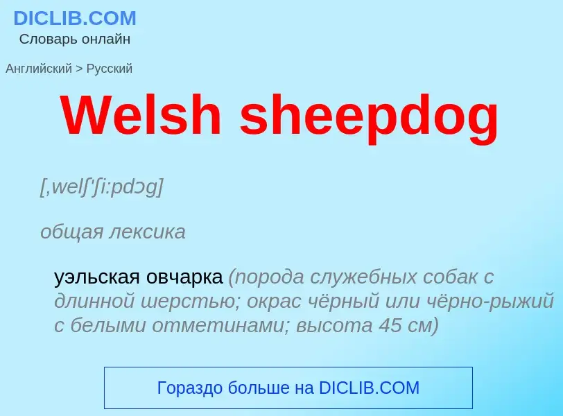 Μετάφραση του &#39Welsh sheepdog&#39 σε Ρωσικά