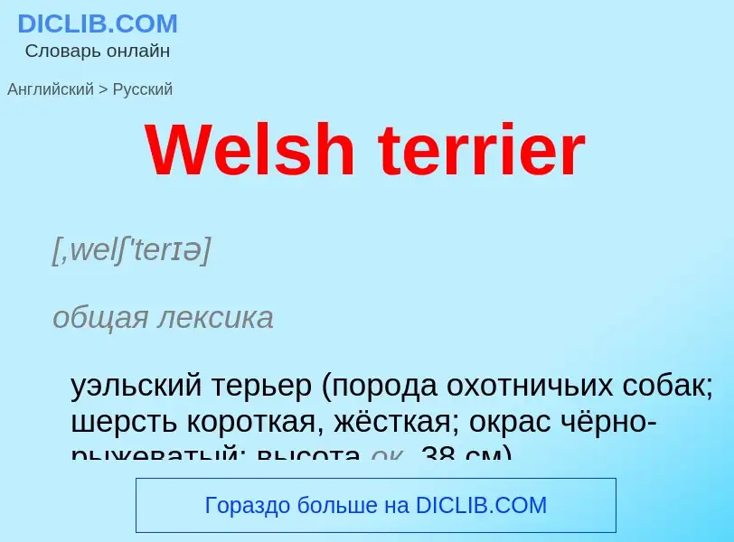 Μετάφραση του &#39Welsh terrier&#39 σε Ρωσικά