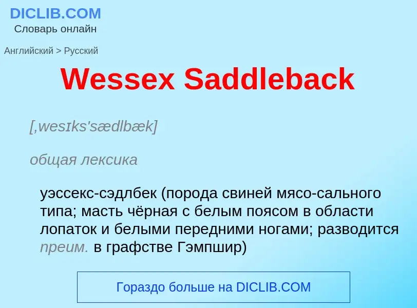 Μετάφραση του &#39Wessex Saddleback&#39 σε Ρωσικά